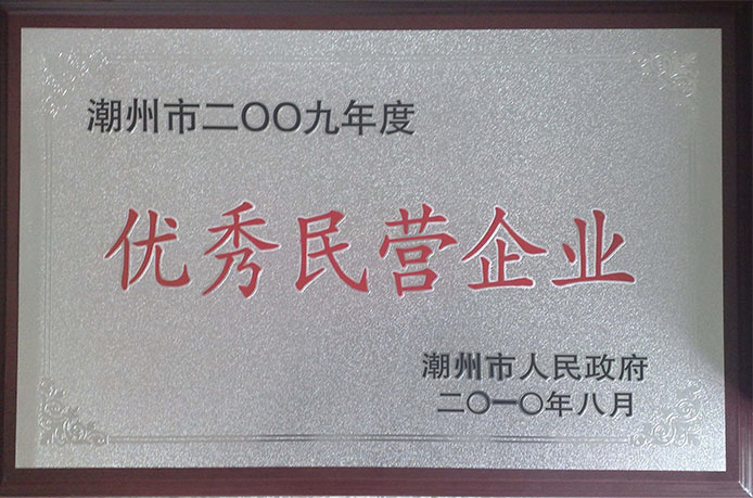 優(yōu)秀民營(yíng)企業(yè)